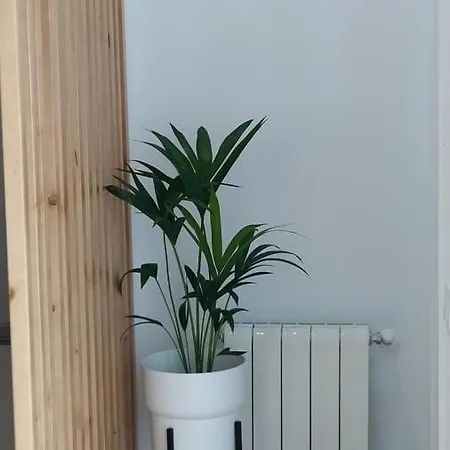 Casa Iulia Emerita Parking Gratis * Mérida