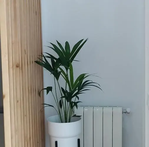 Casa Iulia Emerita Parking Gratis * Мерида