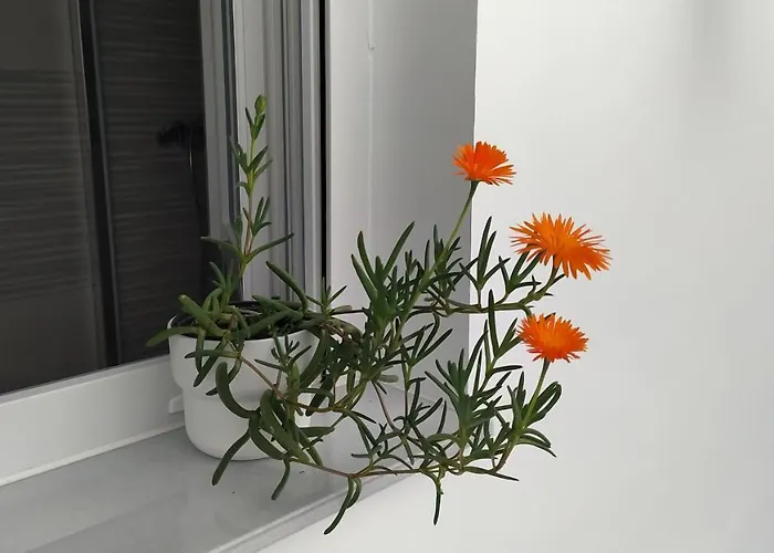 Casa Iulia Emerita Parking Gratis Мерида